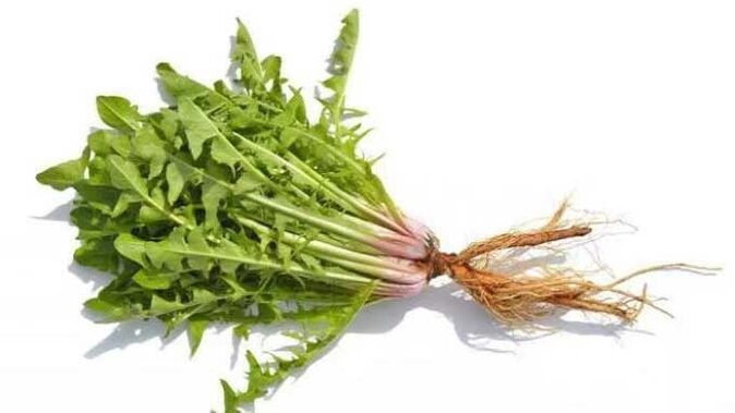 Paardebloemwortel in NEOflorax