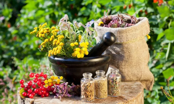 Kruiden uit helminths