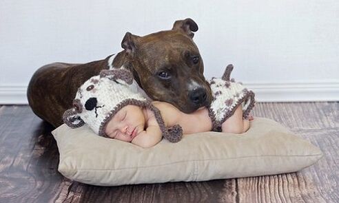 Een kind met een hond