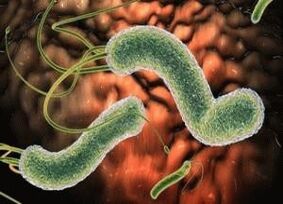 virussen en bacteriën