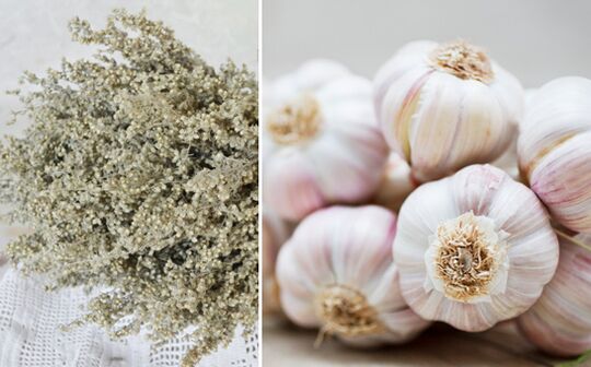 alsem en knoflook om het lichaam van parasieten te reinigen